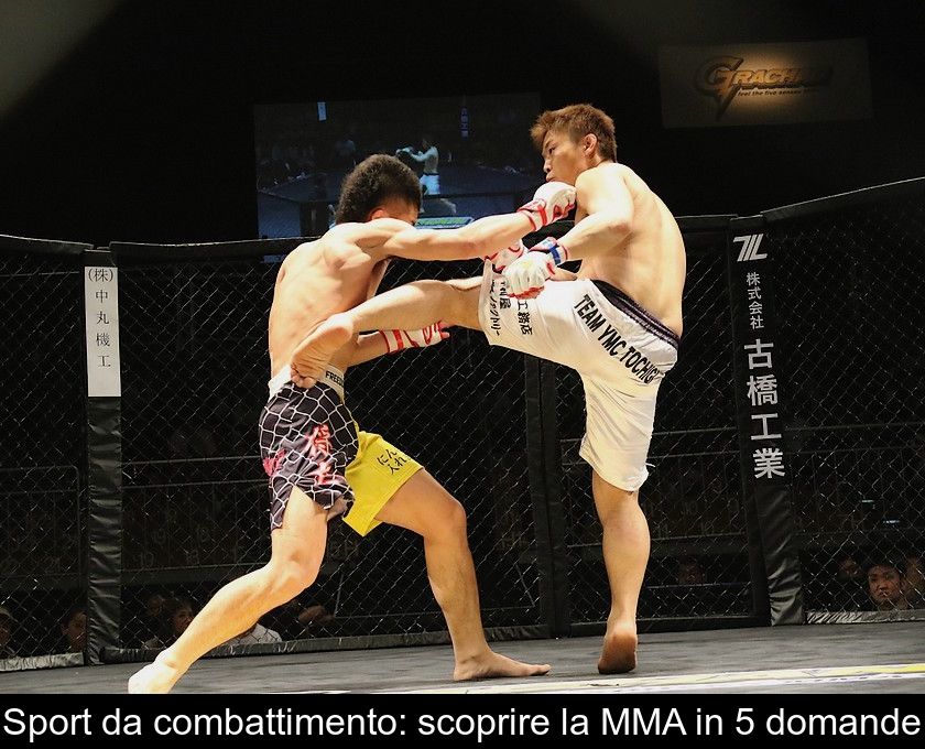 Sport Da Combattimento: Scoprire La Mma In 5 Domande