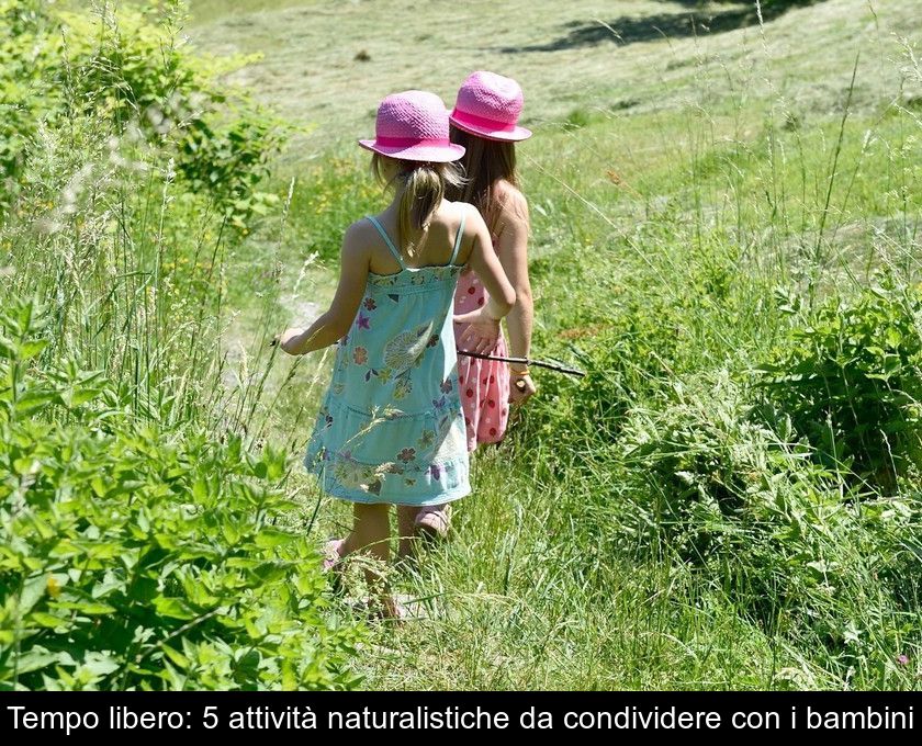 Tempo Libero: 5 Attività Naturalistiche Da Condividere Con I Bambini