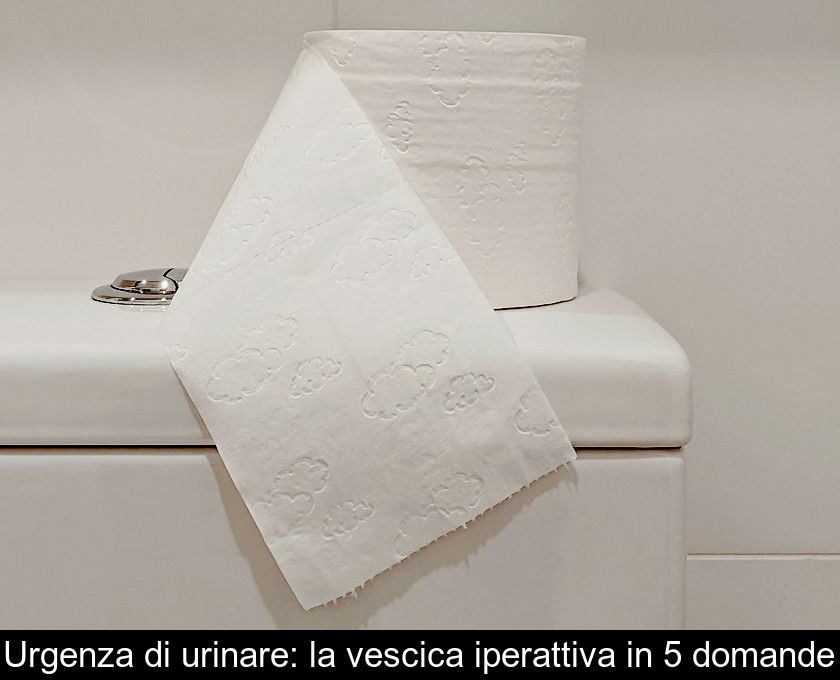 Urgenza Di Urinare: La Vescica Iperattiva In 5 Domande