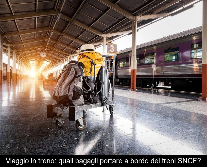 Viaggio In Treno: Quali Bagagli Portare A Bordo Dei Treni Sncf?