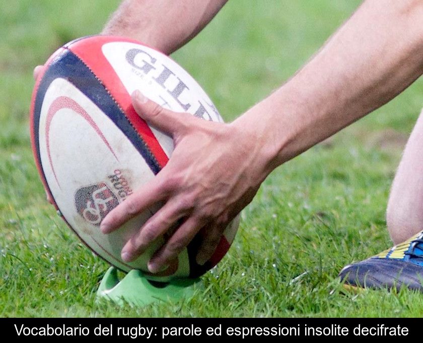 Vocabolario Del Rugby: Parole Ed Espressioni Insolite Decifrate