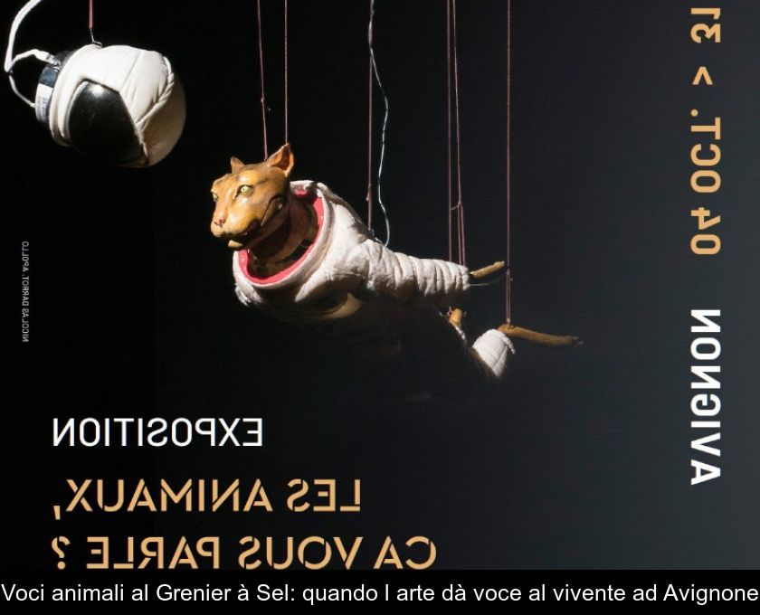 Voci Animali Al Grenier à Sel: Quando L'arte Dà Voce Al Vivente Ad Avignone