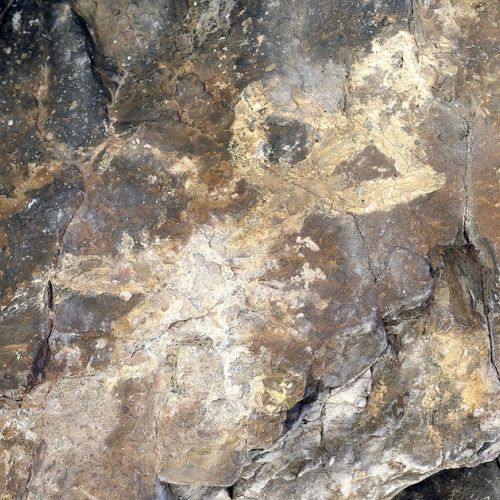 Alpi Marittime: scoperte pitture rupestri neolitiche a Valdeblore