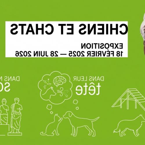 Canidi & Felini: la mostra irresistibile che analizza (e spela) i nostri compagni a quattro zampe alla Città delle scienze.