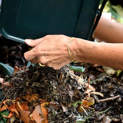 Compost: come evitare i cattivi odori e gli insetti?