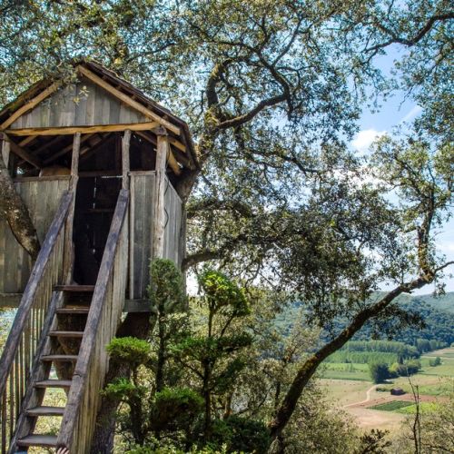 Costruire una casa sull'albero: quali autorizzazioni?