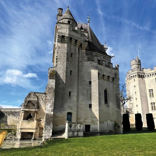 Donjon di Vez 2026: Giovanna d'Arco e Edgar Sarin, quando il medievale incontra il contemporaneo