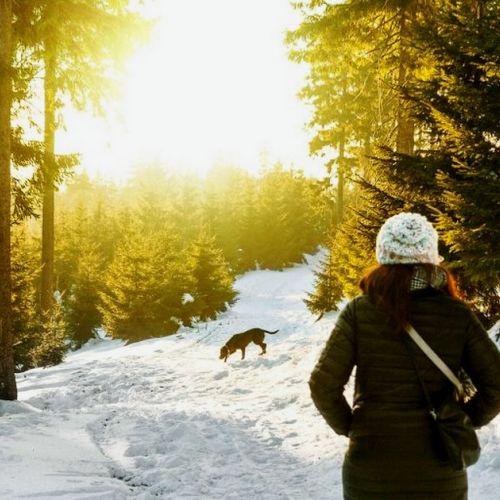 Fototerapia: 5 consigli per godere della luce naturale in inverno