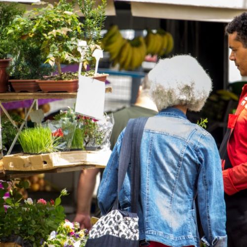 Giardinaggio: 5 buoni consigli per trovare piante a basso costo.