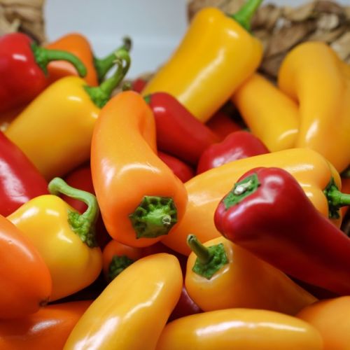 Giardino: 5 fatti insoliti sul peperone