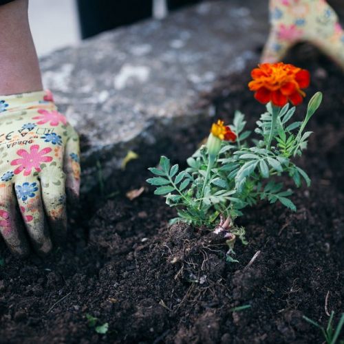 Giardino: come evitare gli incidenti alle mani?