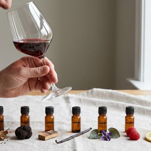 Gli aromi del vino: la guida alle famiglie di odori per sapere finalmente cosa si sente.