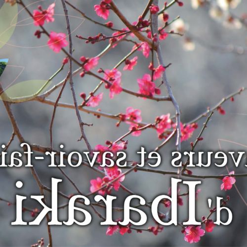 Ibaraki: sapori, competenze artigianali e paesaggi a 45 minuti da Tokyo