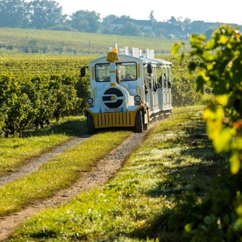 Il piccolo treno di Chalonnes-sur-Loire: una passeggiata tra i vigneti delle Coteaux du Layon.