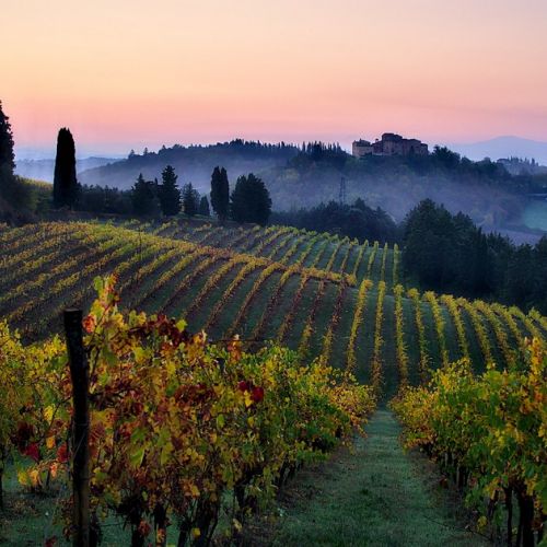 L'autunno in Toscana: 5 cose da fare sul posto