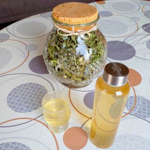 L'infuso ghiacciato di verbena: una ricetta di bevanda dissetante.