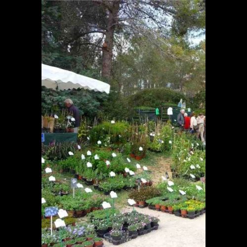 La Festa dei giardini di Valbonne: una fiera delle piante mediterranee