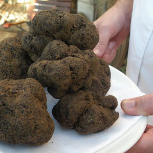 La Festa del tartufo: un evento goloso a Colomars