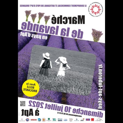 La festa della lavanda a Pays d'Apt