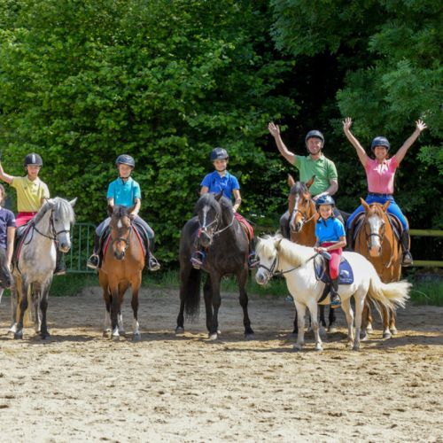 La Giornata del Cavallo: iniziative e animazioni per tutti