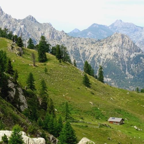 Montagna d'estate: scoprite la Val d'Escreins