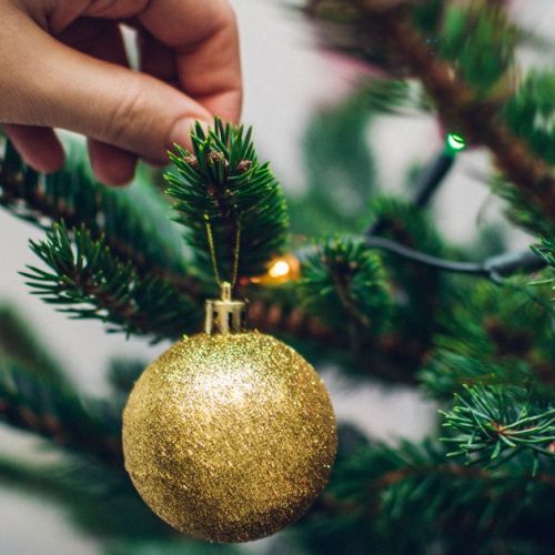 Quando bisogna togliere l'albero di Natale?
