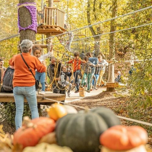 Terra botanica: il parco delle piante ad Angers