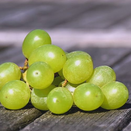 Uva Zucchero Filato: l'incredibile uva dal gusto di zucchero filato