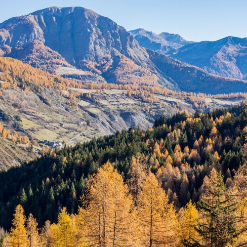 Val d'Allos in autunno: quando la montagna si veste d'oro e dolcezza