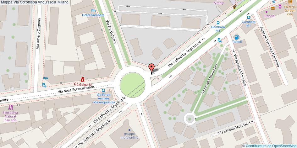 Via Sofonisba Anguissola Milano