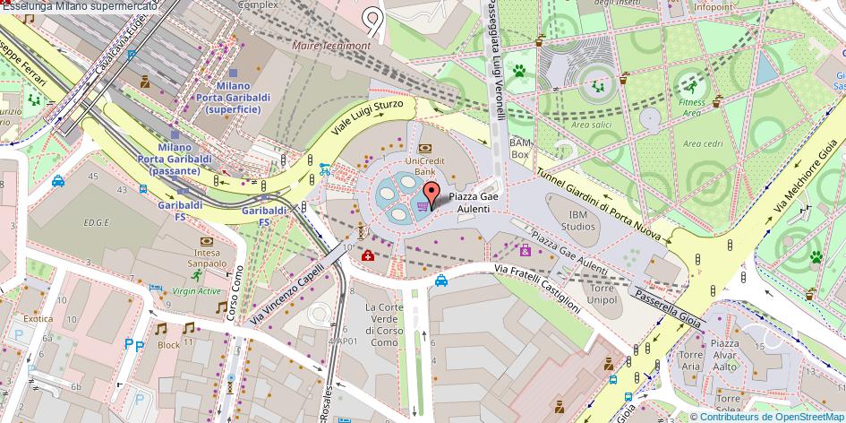 Mappa Esselunga supermercato Milano