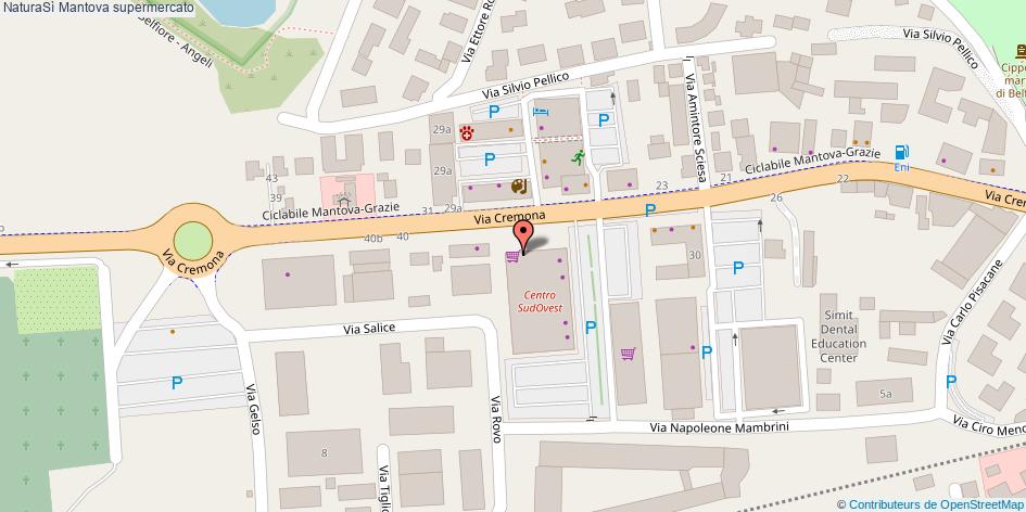 Mappa NaturaSì supermercato Mantova